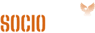 socioeagle a digital marketing agency in india